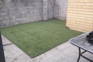 View 3 from project Elite grass