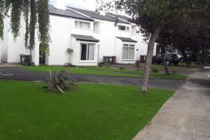 View 4 from project 5 meter wide viola artificial grass