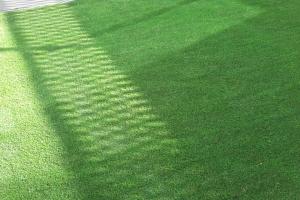 View 2 from project Artificial Grass | 