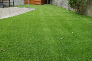 View 0 from project 5 meter wide viola artificial grass