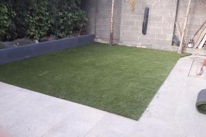 View 4 from project Elite grass